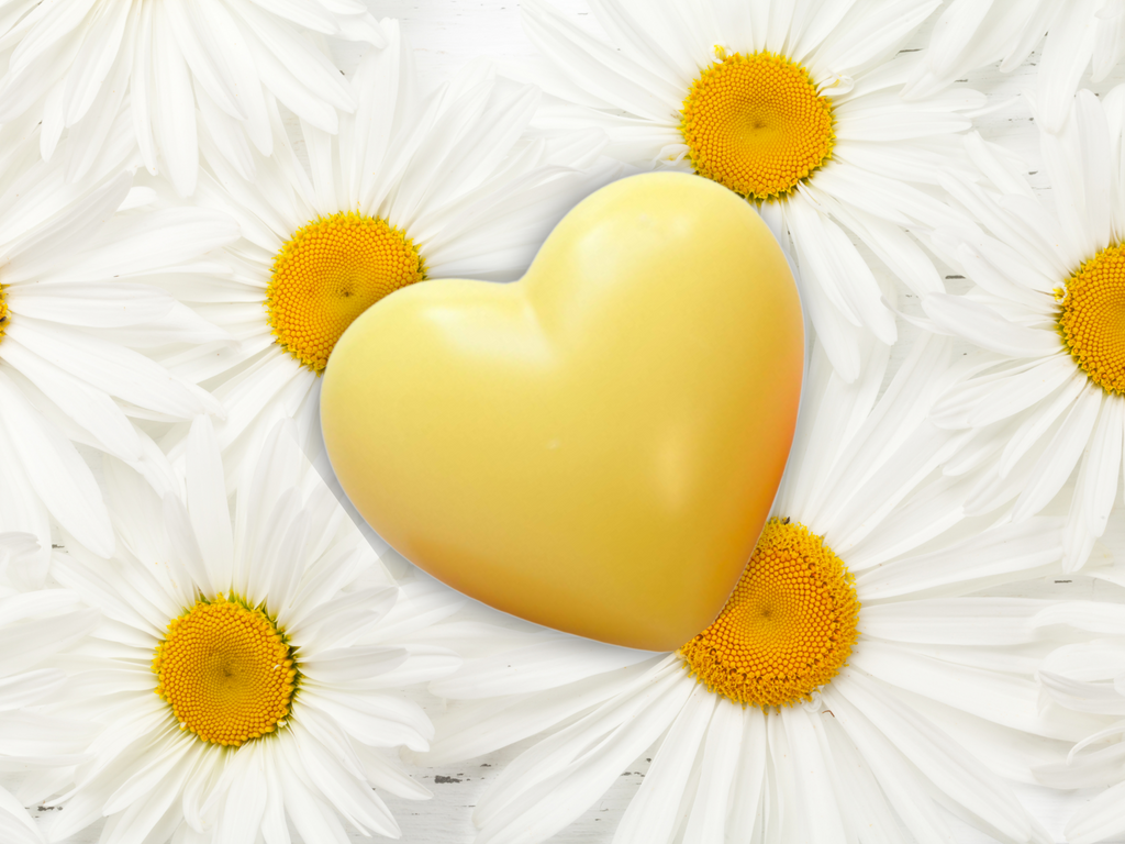 Wax heart freshener for closets and drawers - Romantic & Floral – Elegant Floral Blends for Gifting & Everyday Luxury