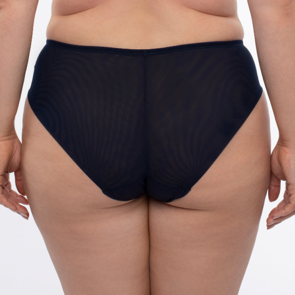 Samanta Hazel Navy Sheer Mesh Tulle Embroidered Brief Panty