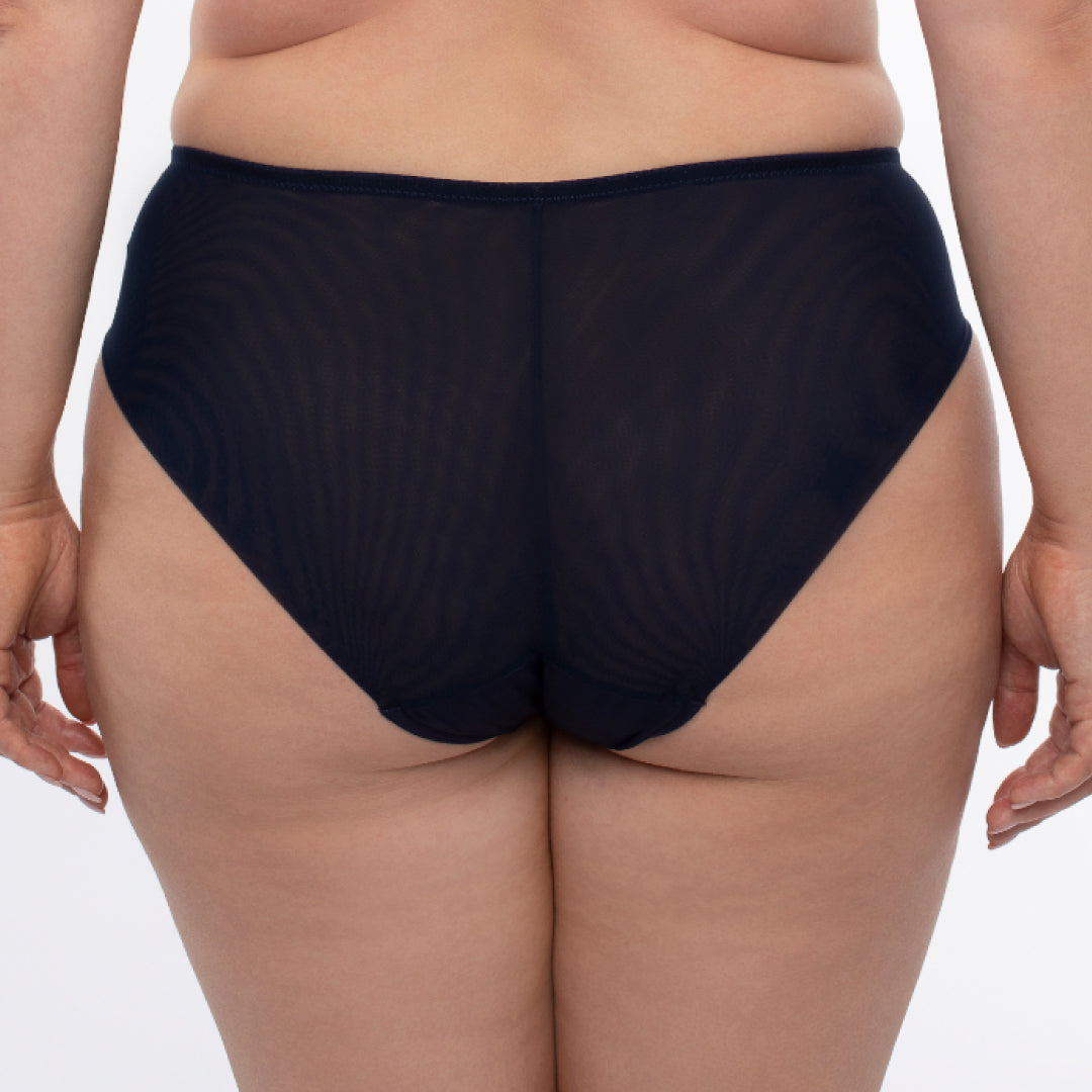 Samanta Hazel Navy Sheer Mesh Tulle Embroidered Brief Panty