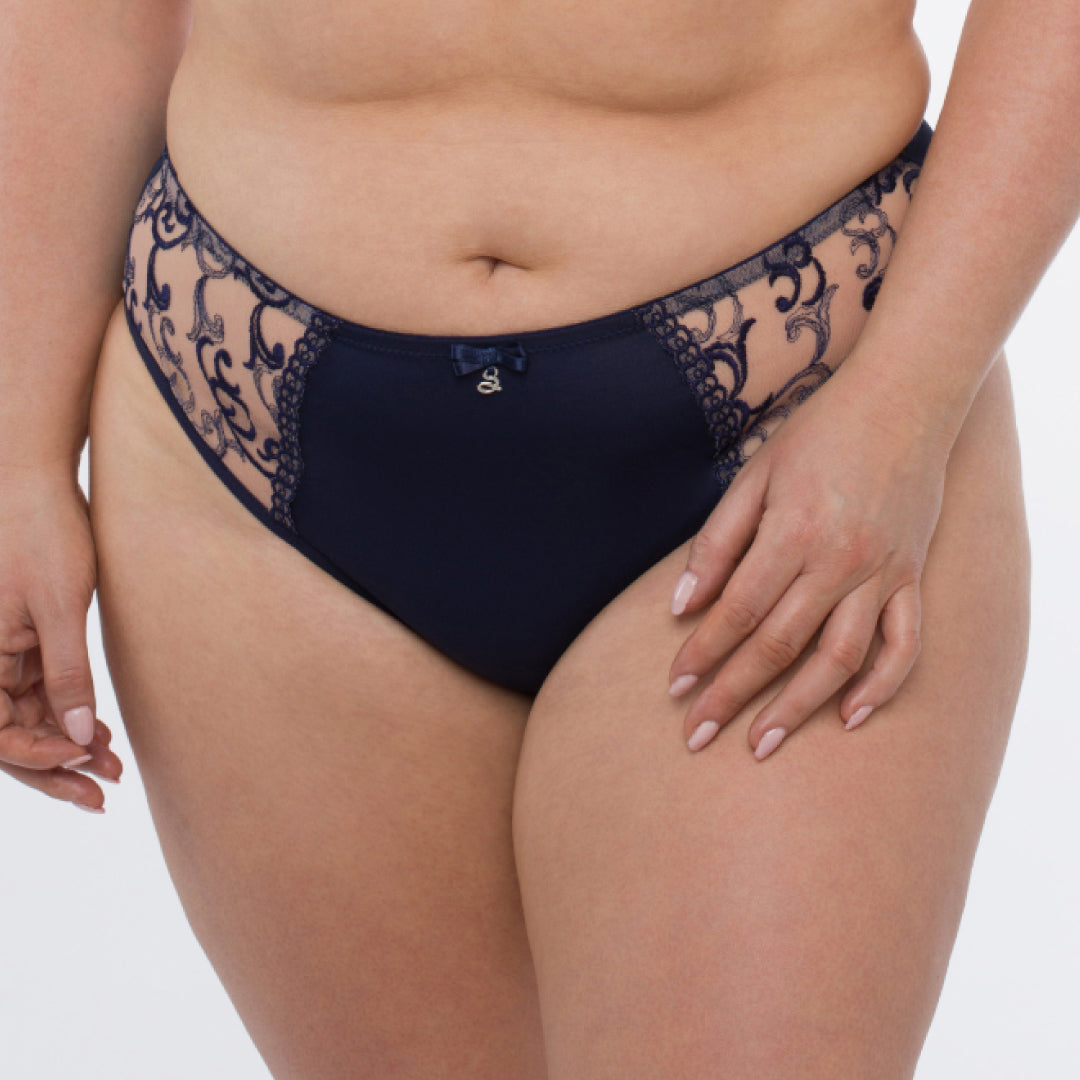 Samanta Hazel Navy Sheer Mesh Tulle Embroidered Brief Panty
