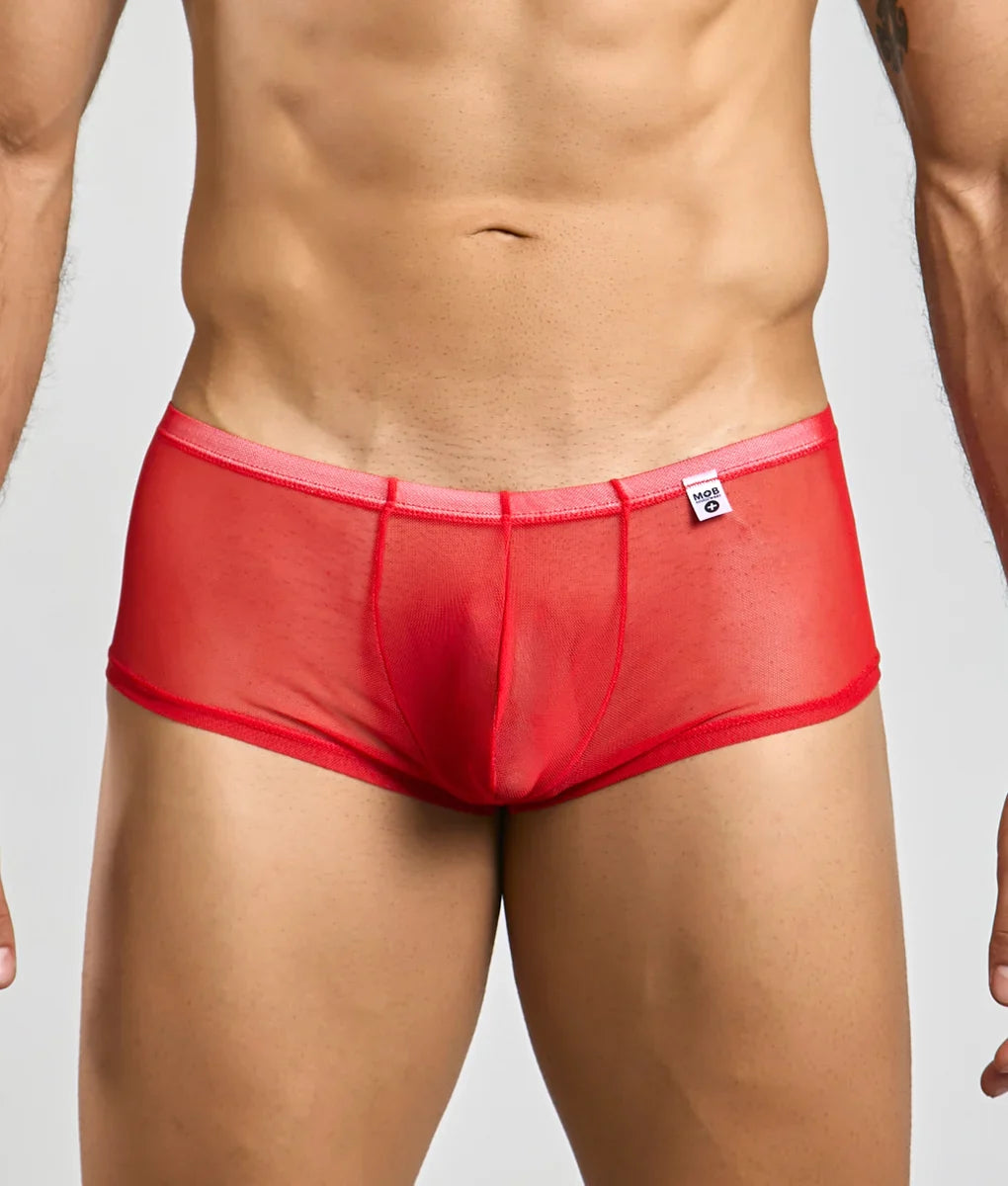 MOB Men's Sexy Sheer Hip Brief-5