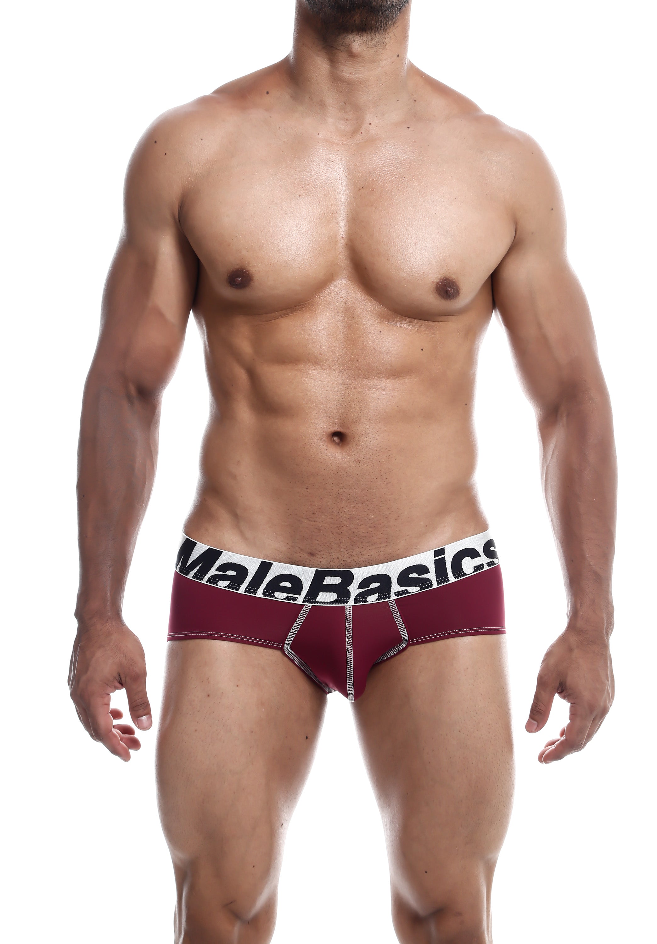 MaleBasics Microfiber Brief-6