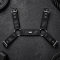 DNGEON CLASSIC BELT HARNESS